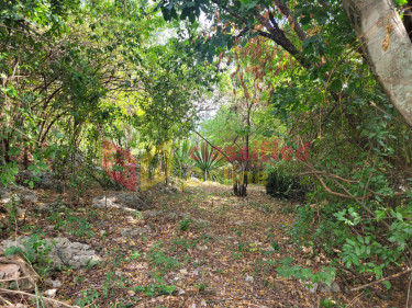 3/4 Acre Dev Land With Older Type House For Sale