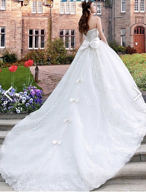 Lovely Laced Back Wedding Dress With Vail