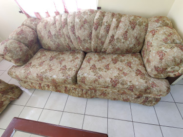 Two Settee/Couch Set