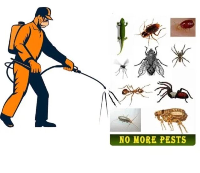 Pest Control And Cleaning Business For Sale