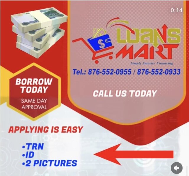 Loans