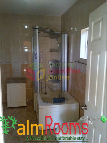 2 Bedroom + 2 Bathroom Furnished Apartment