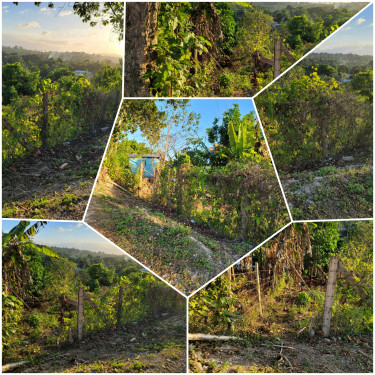 Residential Land - 0.65 Acre