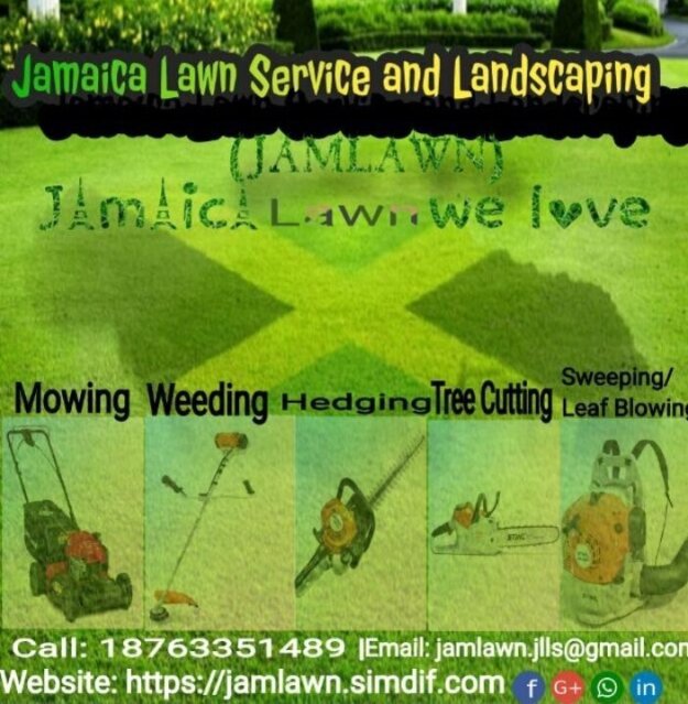 Seeking Gardener/Landscaper:Watsapp Only