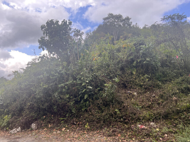 1 Acre Land