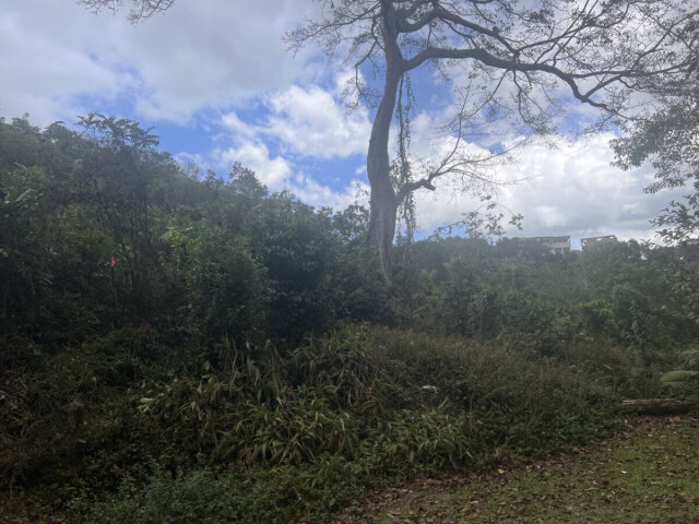 1 Acre Land