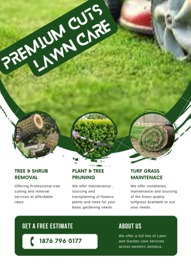 Affordable Lawn Maintenance Services 