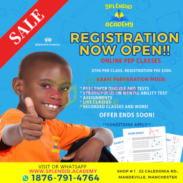 Do You Flyers & Logos Only $3000  1876-700-8287