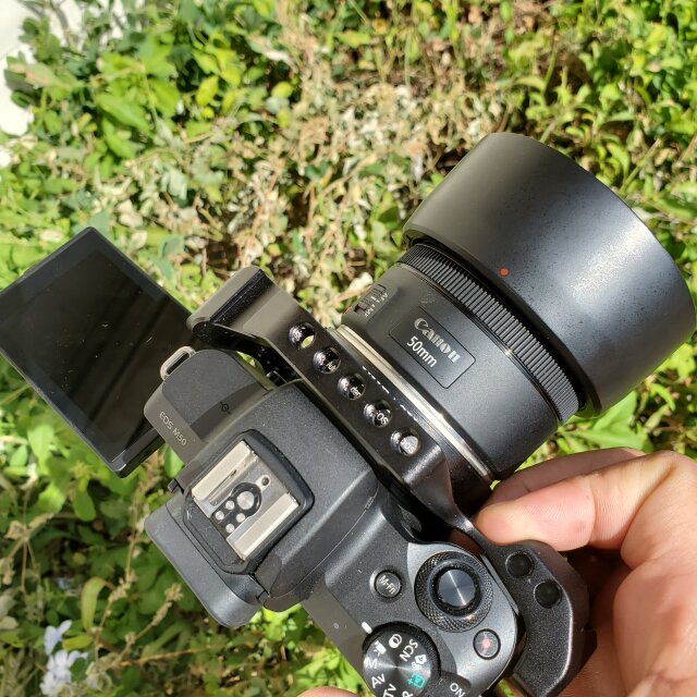 Canon M50 Sale