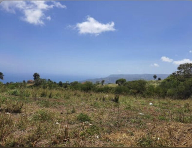 4 Acres Of Land For Sale