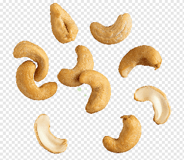 Cashews In Stock