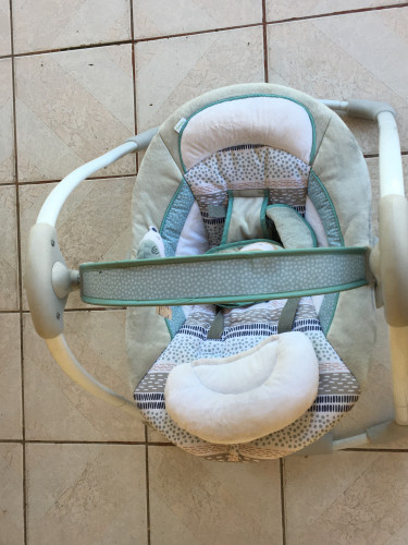 Calming Baby Swing