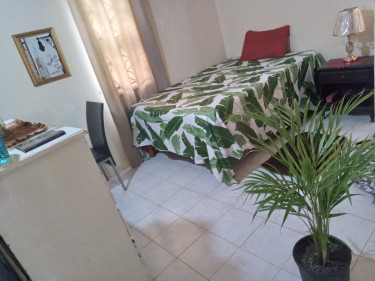 Cozy & Quiet-HomeStay In Montego Bay- Airbnb