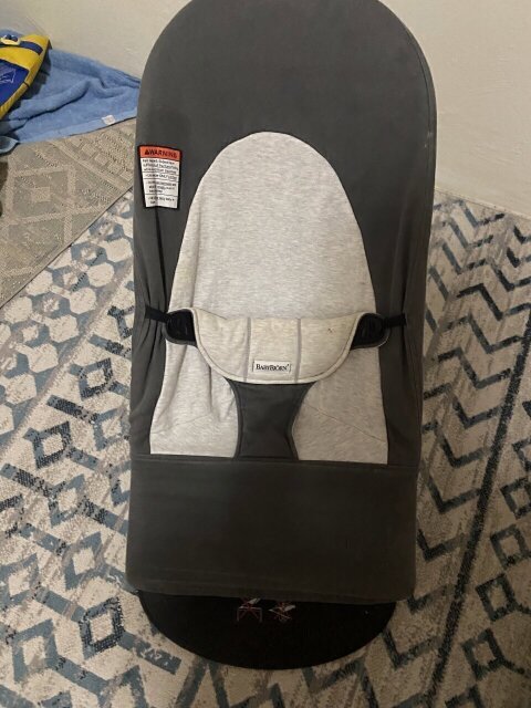 Baby Bjorn Bouncer