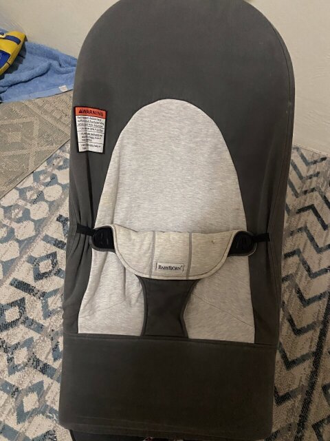 Baby Bjorn Bouncer