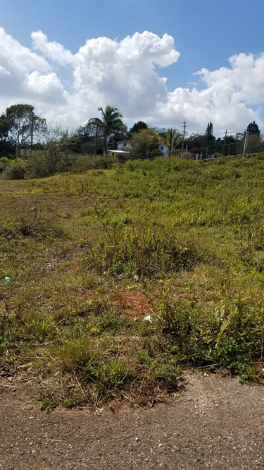 0.28 Acres Of Land