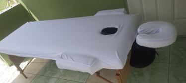 Portable Massage/ Lash/ Facial Bed