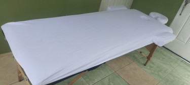 Portable Massage/ Lash/ Facial Bed