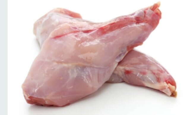 Rabbit