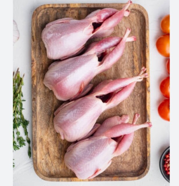 Quail