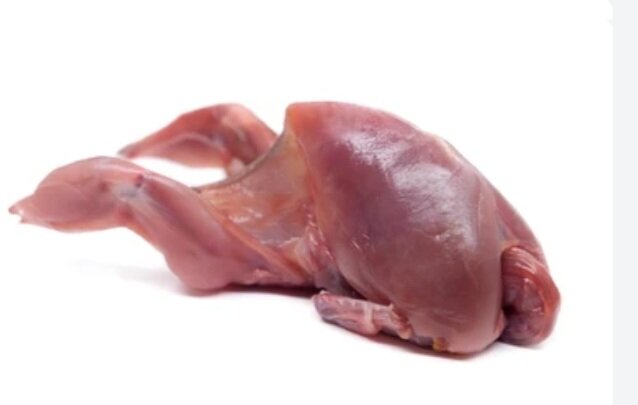 Quail