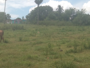 0.5(half) Acres Of Flat Residential Land For Sale.