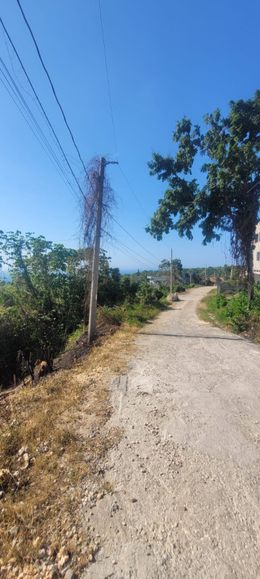 Land For Sale In Three Hills, St. Mary