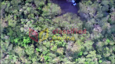 7 Acres Eco Friendly Land-Daniel Town