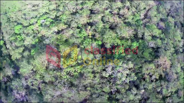 7 Acres Eco Friendly Land-Daniel Town