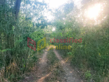 7 Acres Eco Friendly Land-Daniel Town Land Daniel Town