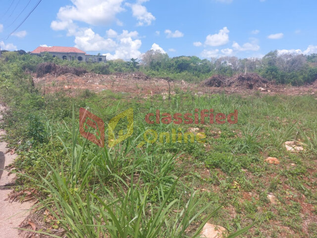 3/4 ACRE FLAT LAND