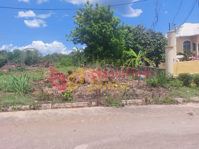3/4 ACRE FLAT LAND