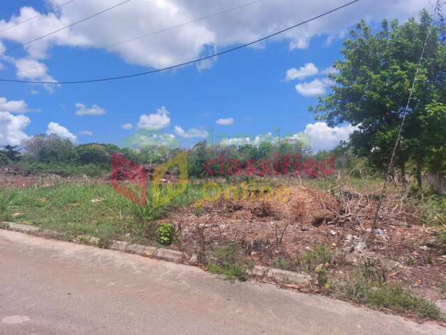 3/4 ACRE FLAT LAND