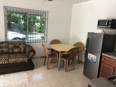 1 Bedroom Furnished Apt Greenwood