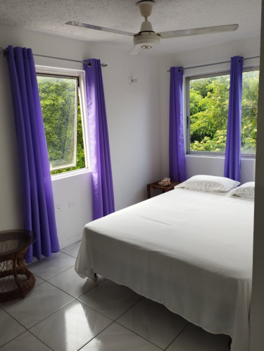 1 Bedroom Furnished Apartment