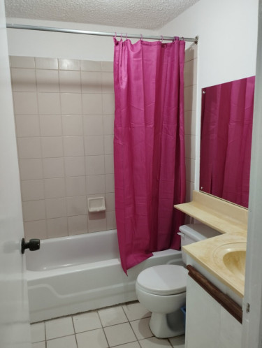1 Bedroom Furnished Apartment