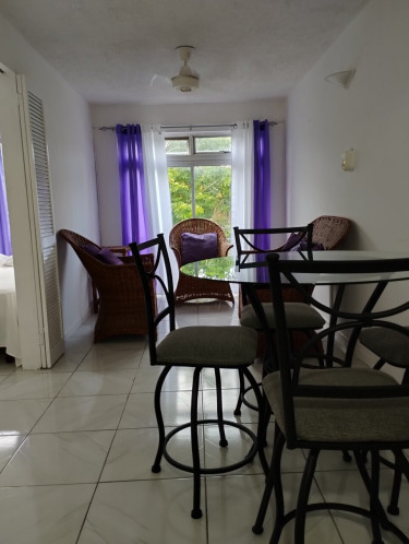 1 Bedroom Furnished Apartment