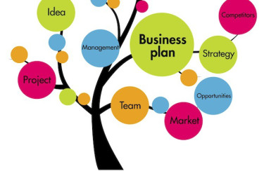 MBA Graduate : Preparation Of Business Plans 
