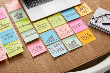 MBA Graduate : Preparation Of Business Plans 