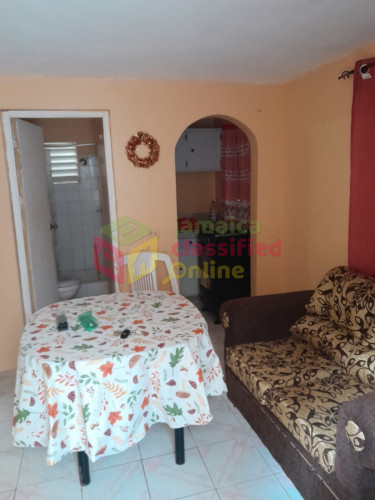 Furnished 1 Bedroom Apartment Includes Utilities