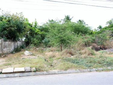 Affordable Vacant Lot 