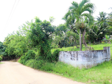 4.6 ACRES OF LAND WITH TWO (2)HOUSES ON SITE 