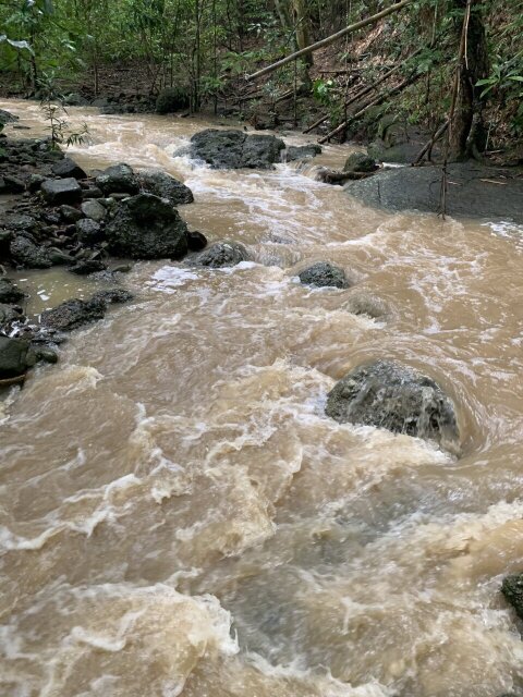 11 Acre Hill Top With Gentle Slope To River