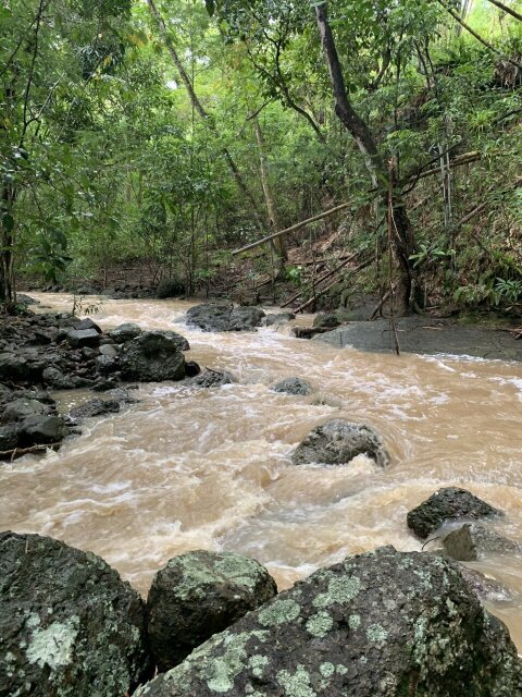 11 Acre Hill Top With Gentle Slope To River