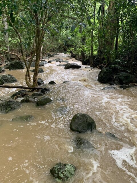 11 Acre Hill Top With Gentle Slope To River