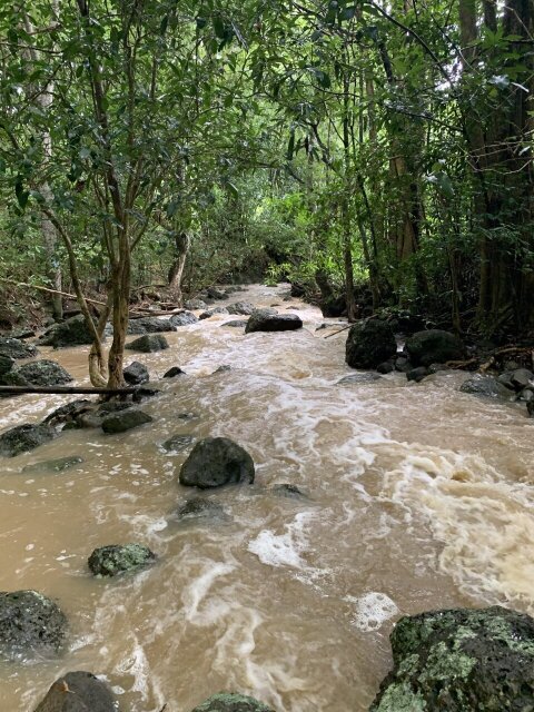 11 Acre Hill Top With Gentle Slope To River