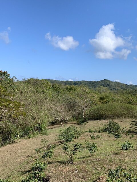 11 Acre Hill Top With Gentle Slope To River
