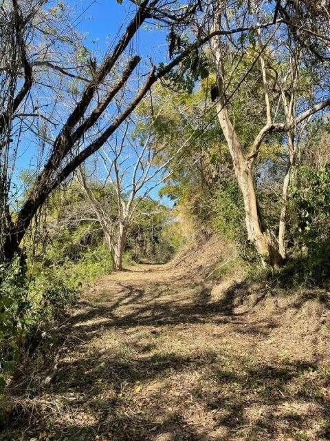 11 Acre Hill Top With Gentle Slope To River