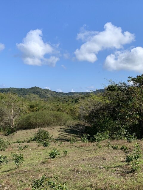 11 Acre Hill Top With Gentle Slope To River