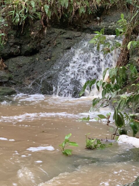 11 Acre Hill Top With Gentle Slope To River